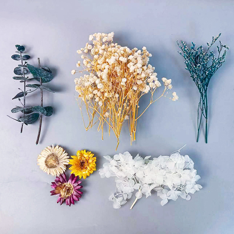 Craft Embellishments - 1pack Multifarious Dried Flowers Set For